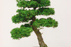 DSCN4072
