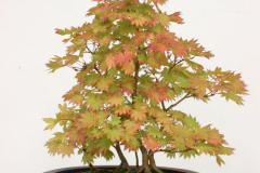 DSCN4073