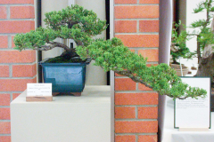 DSCN4076