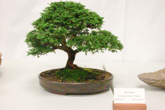 DSCN4077