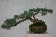 DSCN8100
