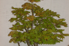 DSCN8111