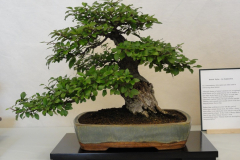 DSC00380s
