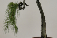 DSC00390s