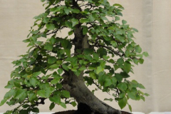 DSC00401s