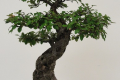 DSC00410s
