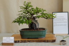 DSC00430s