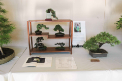 Some of Jack's shohin