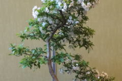Crabapple - Kurt Smith