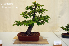 Crabapple by Don Loveland