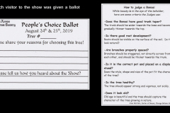 Ballot & Instructions