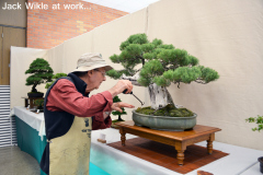 Jack Wikle at Work