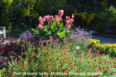One of Many Flower Beds