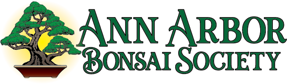 annarborbonsaisociety
